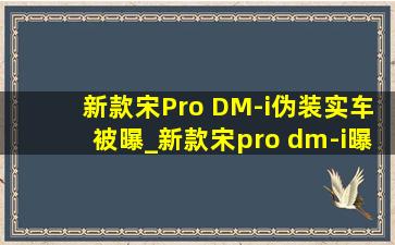 新款宋Pro DM-i伪装实车被曝_新款宋pro dm-i曝光